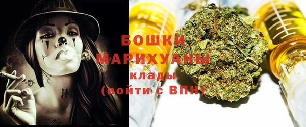 гашик Березники